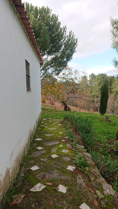 Naturaleza y tradicion en Jabugo 17