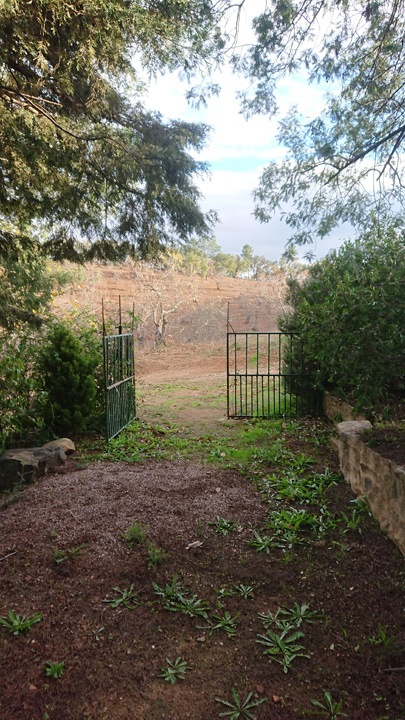Naturaleza y tradicion en Jabugo 25