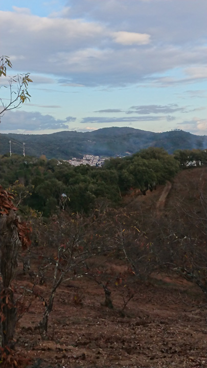 Naturaleza y tradicion en Jabugo 26