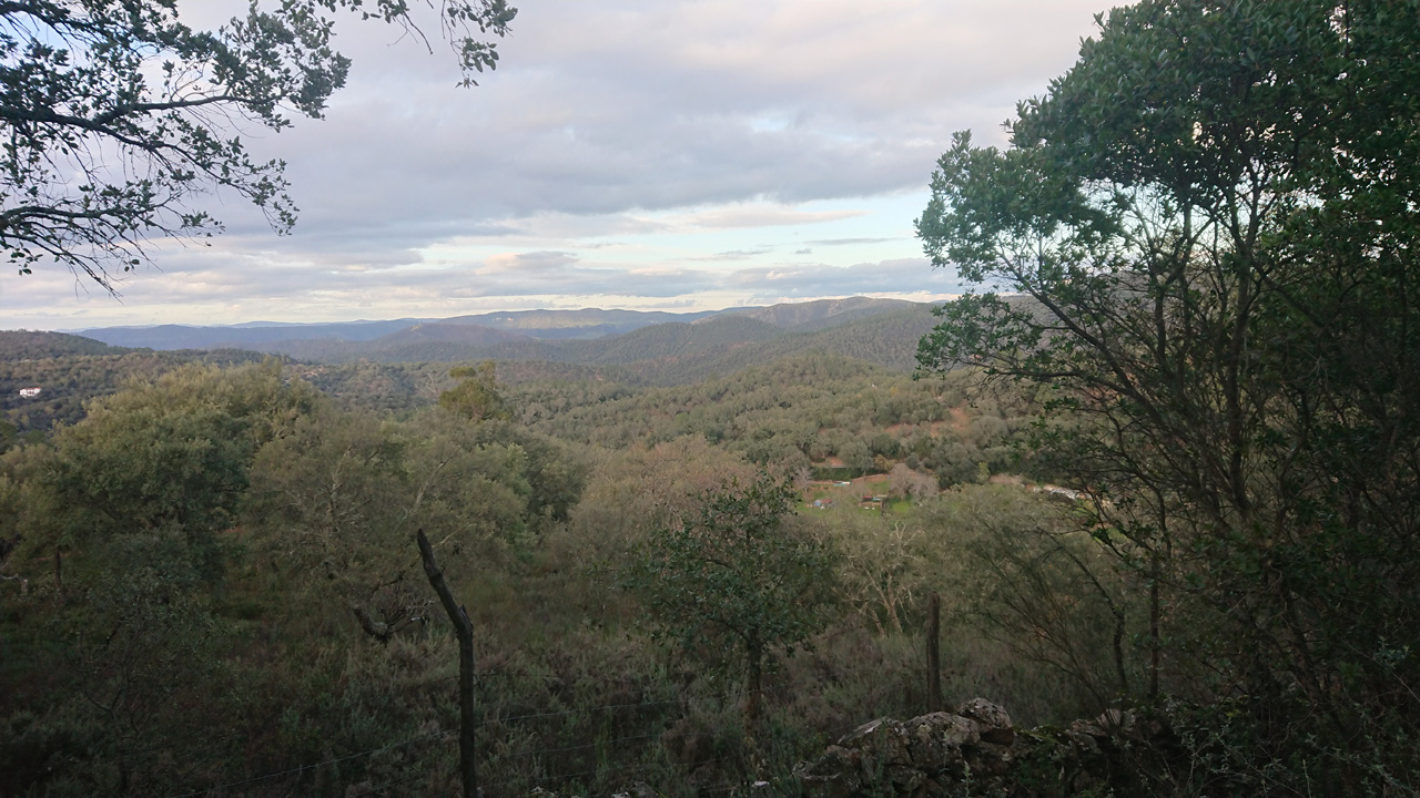 Naturaleza y tradicion en Jabugo 28