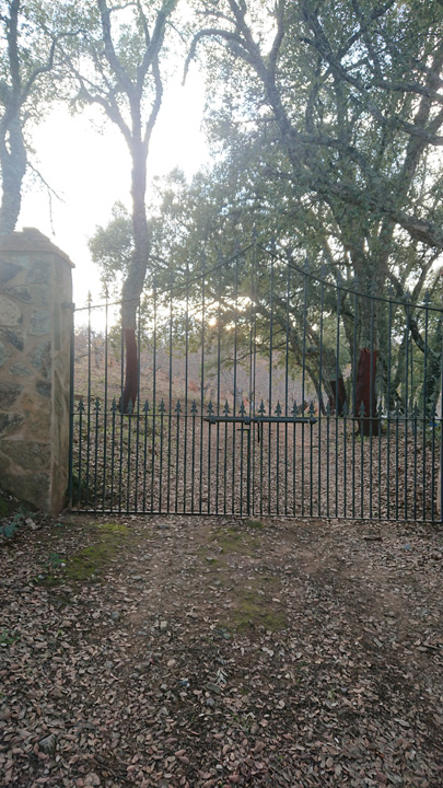Naturaleza y tradicion en Jabugo 29