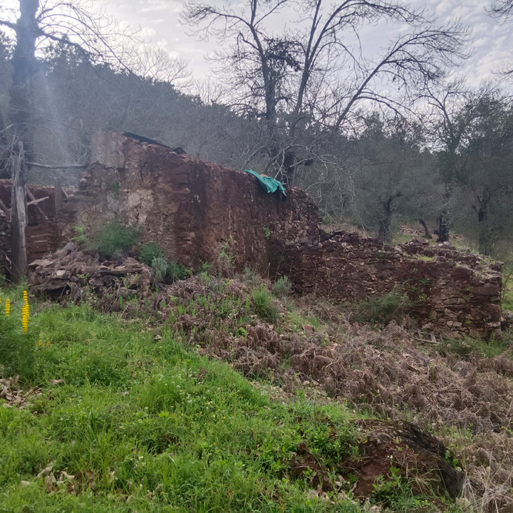 Parcela para disfrutar de la sierra 16