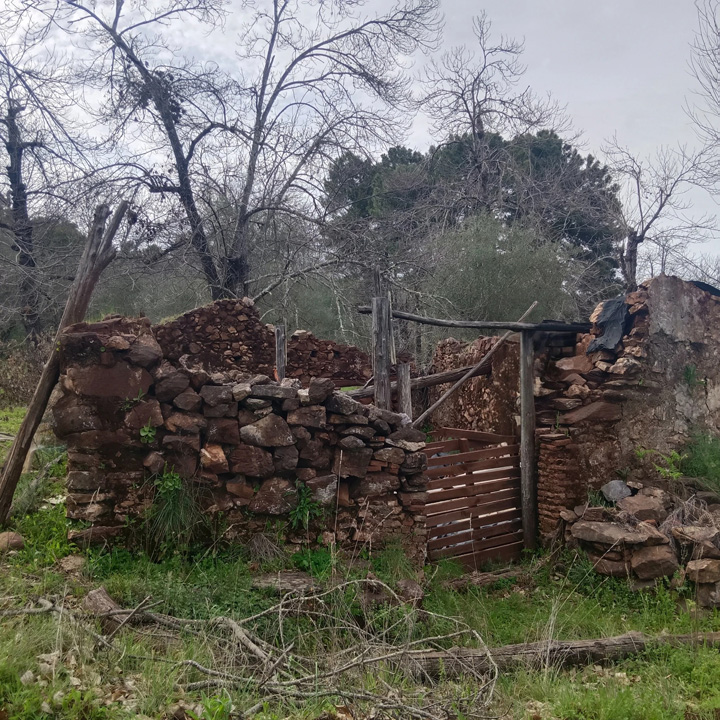 Parcela para disfrutar de la sierra 4