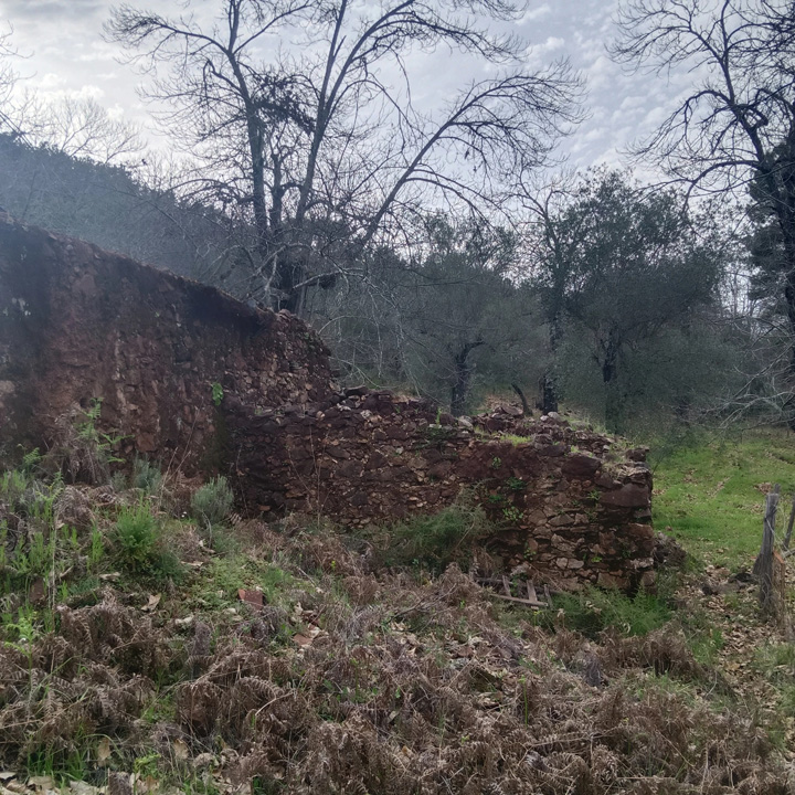 Parcela para disfrutar de la sierra 6