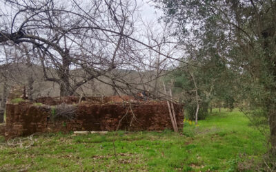 Parcela para disfrutar de la sierra
