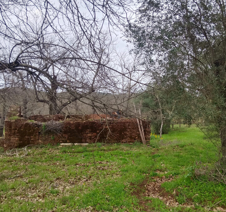 Parcela para disfrutar de la sierra