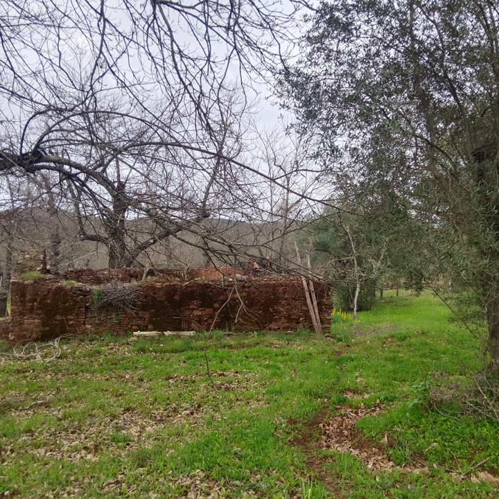 Parcela para disfrutar de la sierra