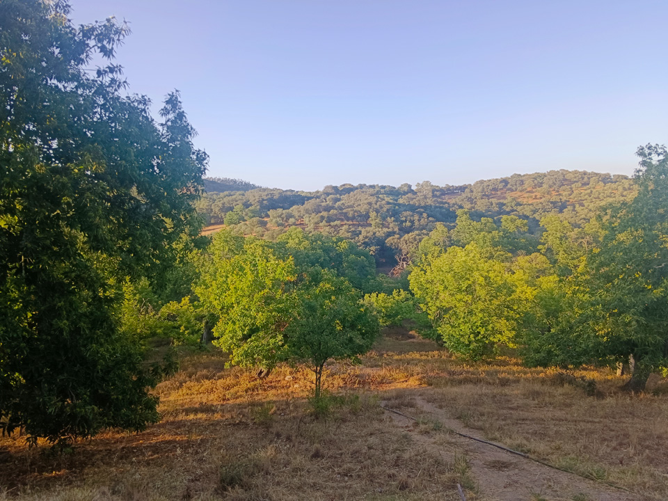 Preciosa casa rural entre castanos 11