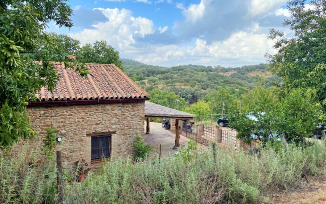 Preciosa casa rural entre castaños