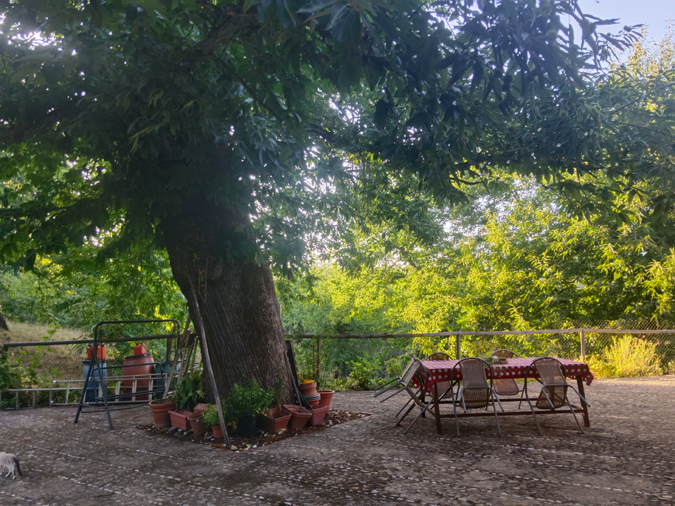 Preciosa casa rural entre castanos 7