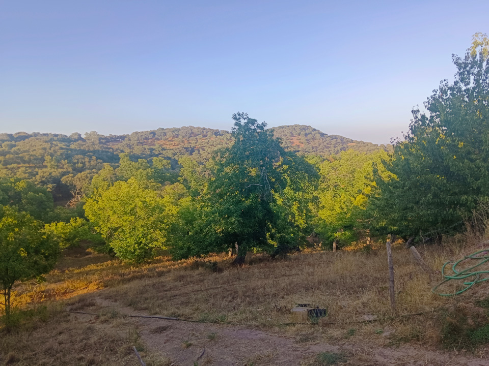 Preciosa casa rural entre castanos 9