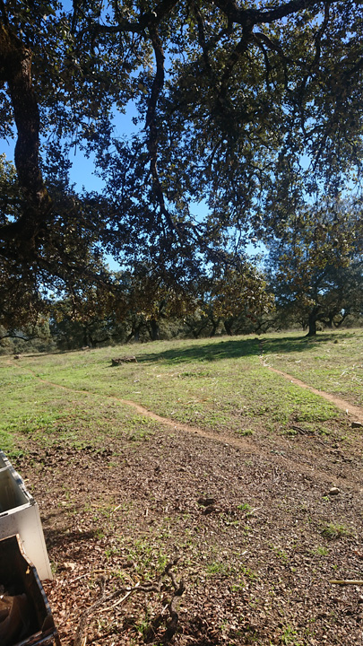 Preciosa finca ocio y ganadera 12