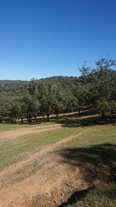 Preciosa finca ocio y ganadera 14