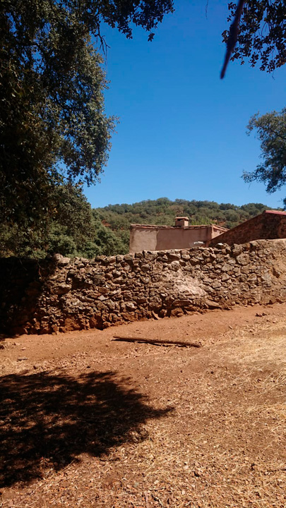 Preciosa finca ocio y ganadera 2