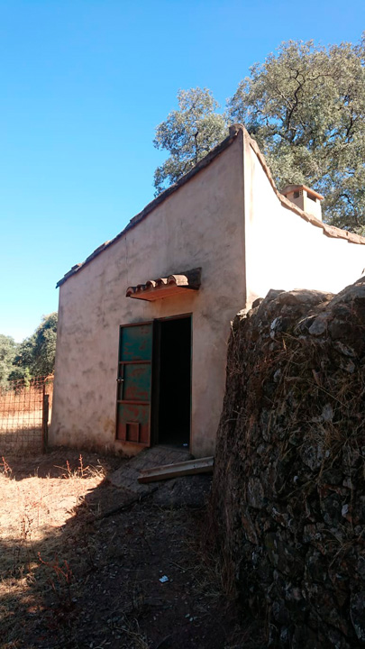 Finca Cortegana A (31)
