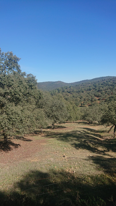 Preciosa finca ocio y ganadera 8