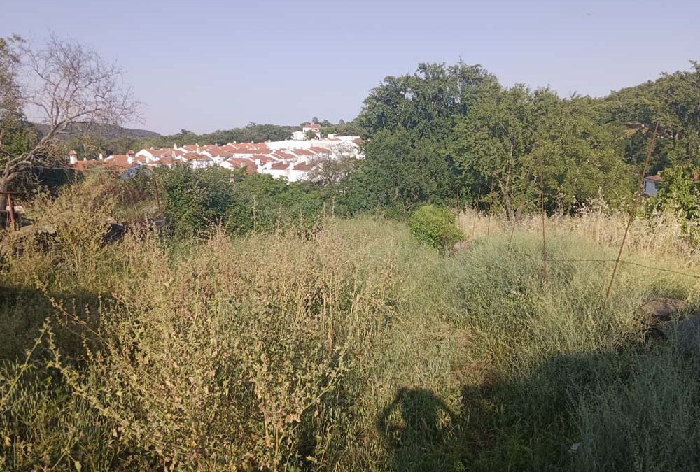 Precioso terreno Urbano