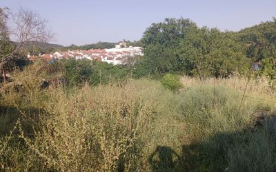 Precioso terreno Urbano