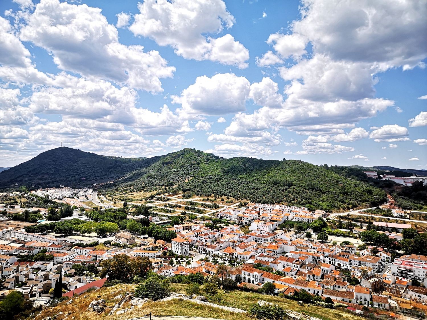 bf337ca4 e3bb 4002 9347 eda7eff4b98c