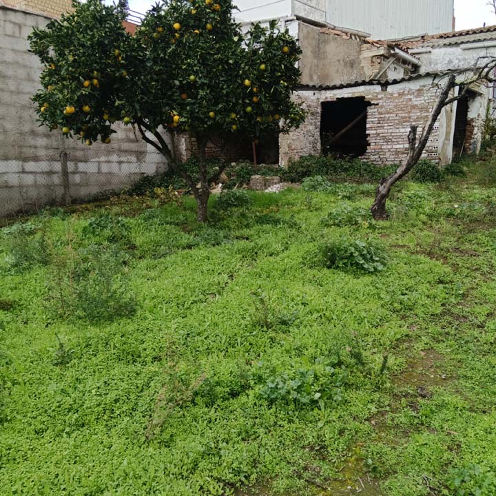 casa con corral 14
