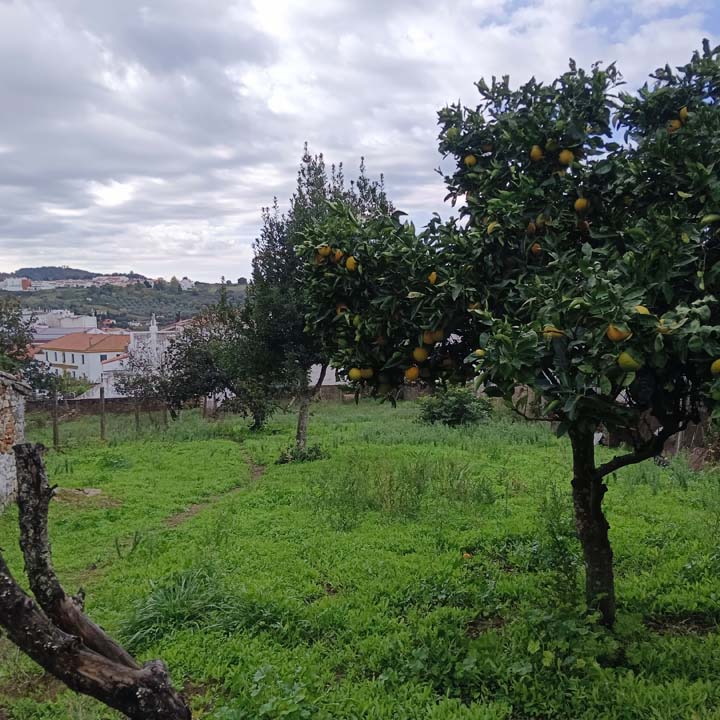casa con corral 16