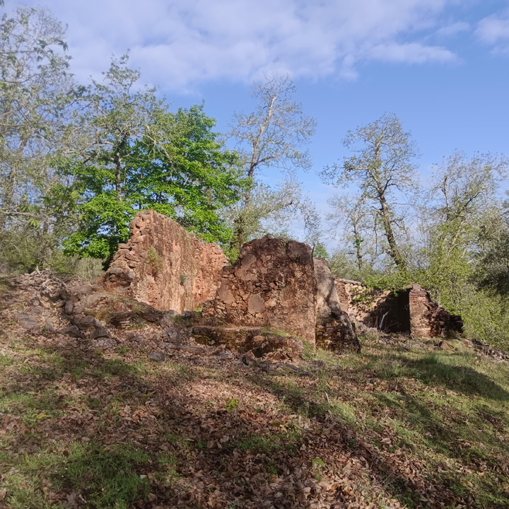 excepcional finca de castanos 18