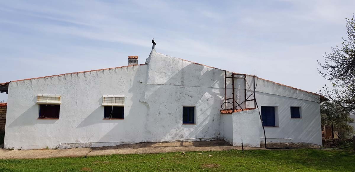 olivar con dos casa 2