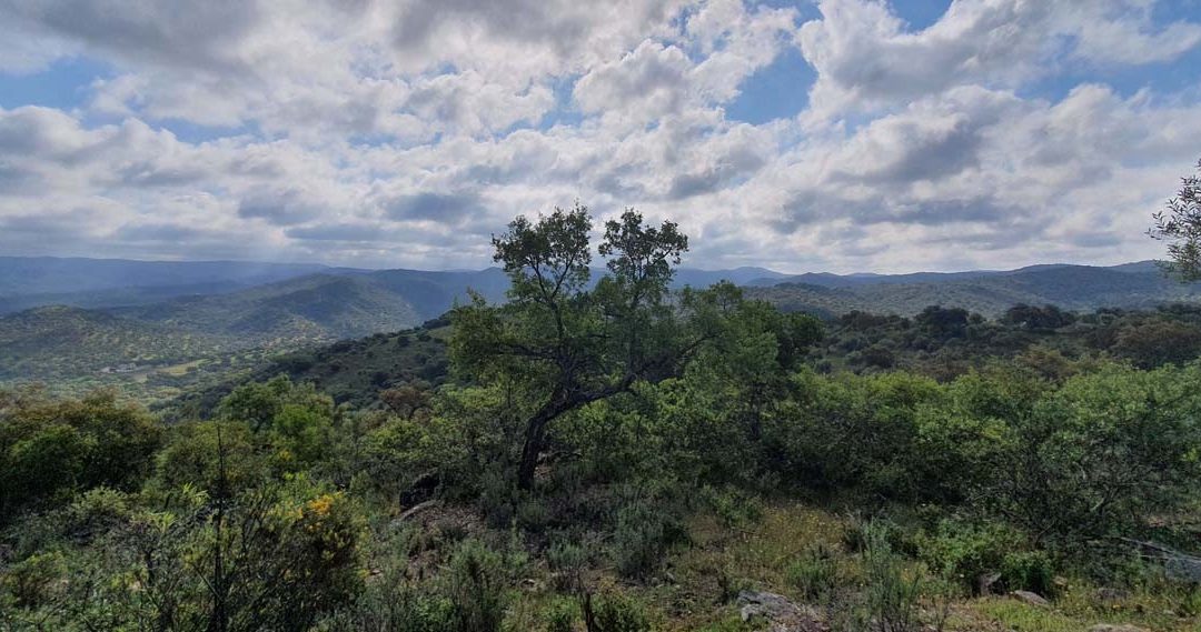 Finca rústica y agrícola
