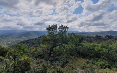 Finca rústica y agrícola