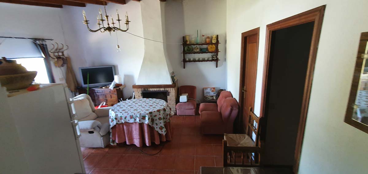 olivar con dos casas 1
