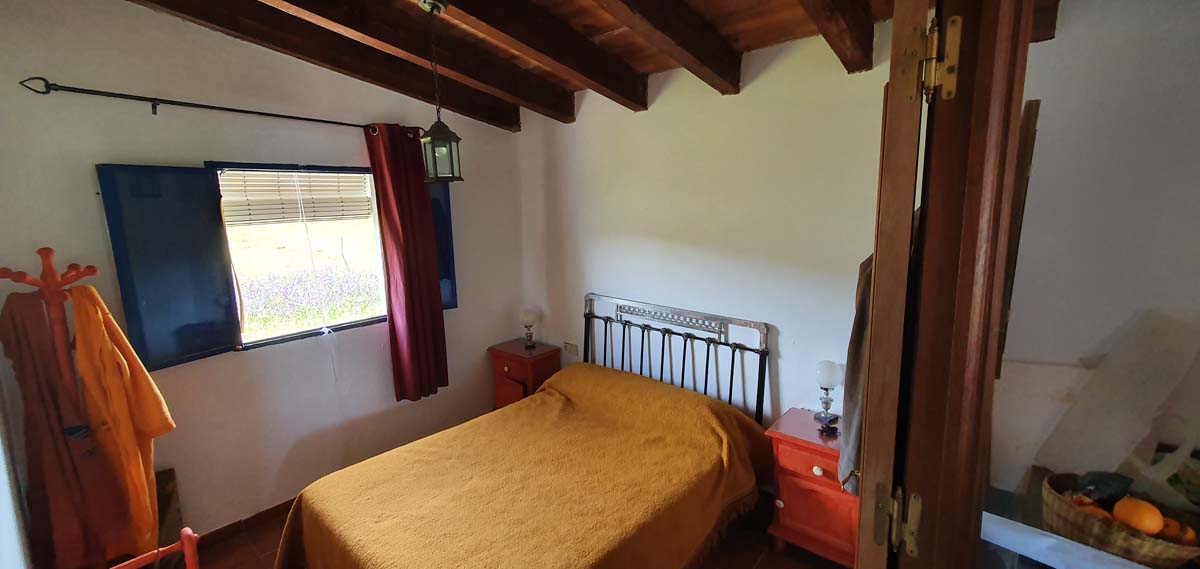 olivar con dos casas 13