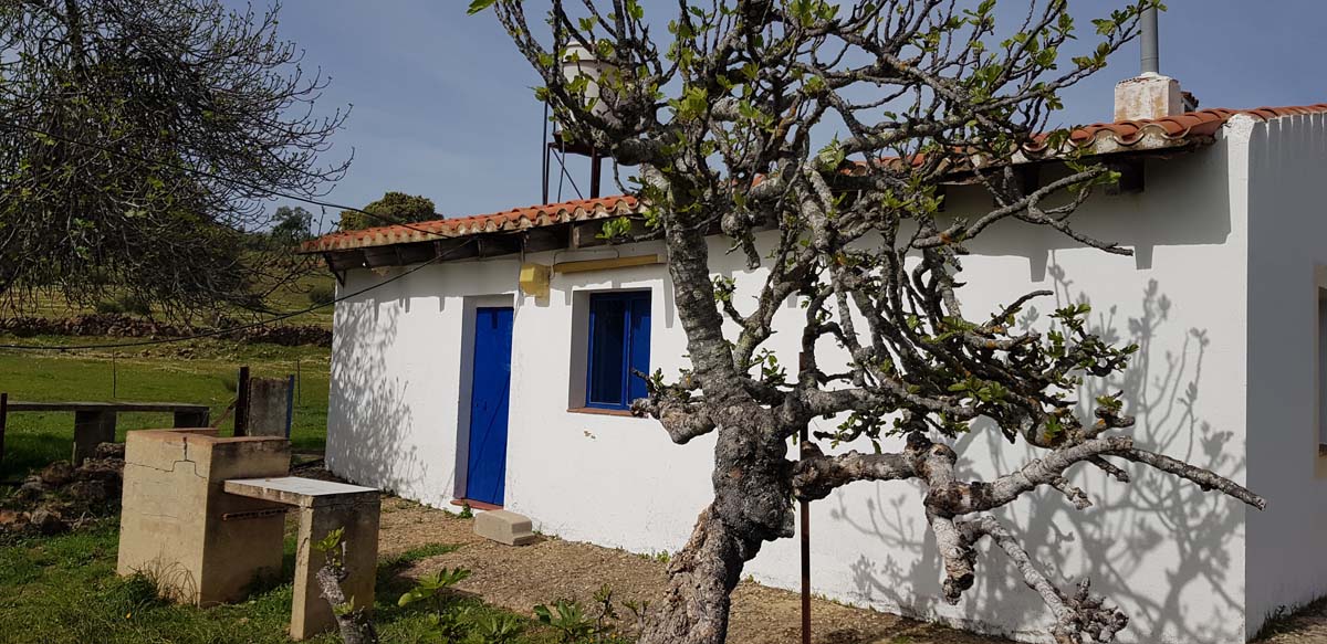 olivar con dos casas 3