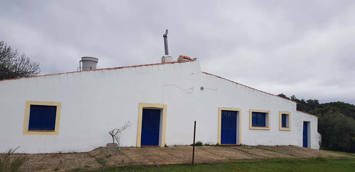 olivar con dos casas 7