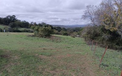 Terreno agrícola con buen acceso