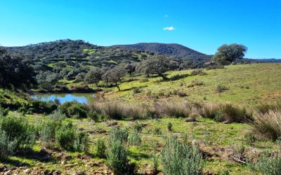 Finca Rústica y Ganadera